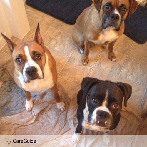 Pet Care Job Erin Carlson's Profile Picture