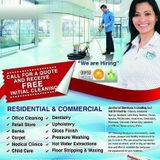 V.I.P. Cleaning Services 31 LLC