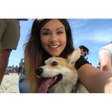 Caring Dog Sitter in Rohnert Park, California