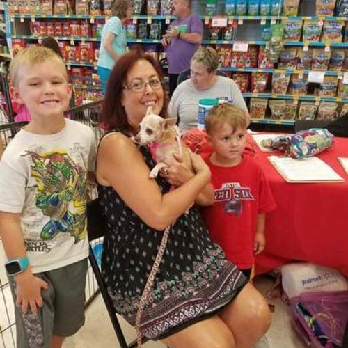 Pet Care Provider Susan H's Profile Picture