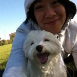 Seeking a Seasoned Pet Care Provider in Dallas, Tx.