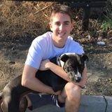 Daniel's Pet Service