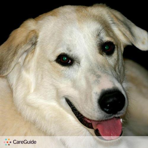 Pet Care Provider JoLisa B's Profile Picture