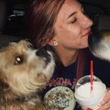 Professional, friendly, huge animal fan who would love to take care of your furry/scaly friends (: