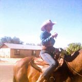 Passionate Cat Sitting Professional for Hire I OWNED 6 HORSES AND HAVE OVER 10 YEARS OF CARING FOR THEM