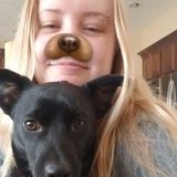 Super loving and caring pet carer for your furbabies