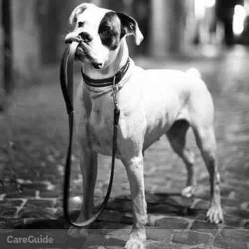 Pet Care Provider Cole H's Profile Picture