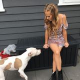 Honest Dog Walker in Vancouver, British Columbia