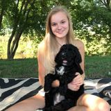 Loving And Reliable Animal Caregiver!