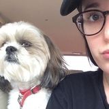 Animal Lover