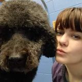 In Home Dog Boarding and Grooming In Wichita