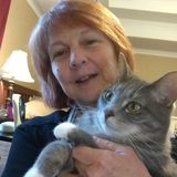 For Hire: Trustworthy Pet Care Provider in Fayetteville