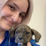 Qualified Pet Care Giver in Lakeside
