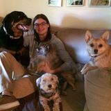 Professional, reliable and compassionate in home pet care