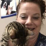 Caring Domestic in Sarnia