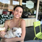 Flexible House Sitting Professional Available Immediately