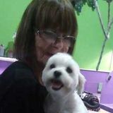 Pet sitter in Auburndale