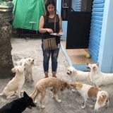 Seeking Clovis Pet Carer Jobs