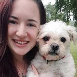 Reliable House Sitter Available Immediately