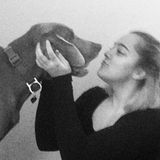 Available For a Pet Sitter Job in Evanston, Illinois