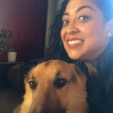Responsible Adult, House/Pet Sitter In Sparks