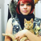 Highly experienced care for all creatures, big and small!