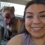 Looking for pet care job -