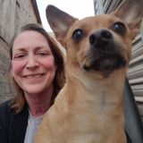 Mature pet and house sitter with loving heart, in Chino Valley