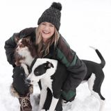 I'm a kind, caring, friendly individual and pet owner. Offering dog walking and pet sitting.