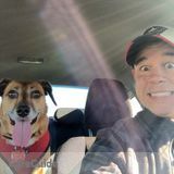 A few hours Wednesday for an easy going dog