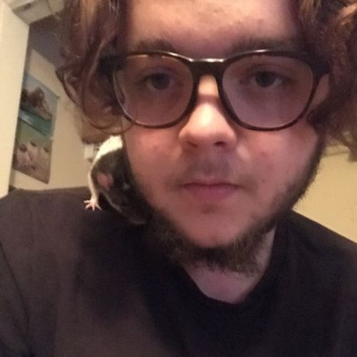 Pet Care Provider Jacob H's Profile Picture