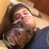 Responsible Dog Sitter for Hire