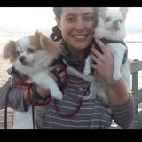 Wynnewood Dogcare Pro offering everything from walks to baths to massage therapy.