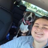 Hi, Im 21 years old full time worker and student. I have experience caring for animals from dogs and cats to horses and pigs