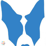 Professional Pet Care at Reasonable Prices