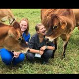 Looking to care for some happy fur babies according to their/your need!