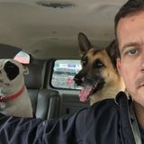 For Hire: Talented Large Breed Dog Walker/hiker in Maple Ridge and Lower Mainland