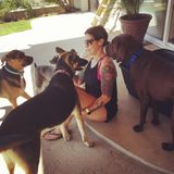 Dog Walker