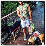 Daily Dog Walker RSVP now (key Largo - Miami)
