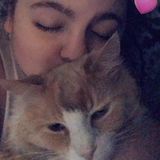 Most Good Pet Sitter in West Sand Lake