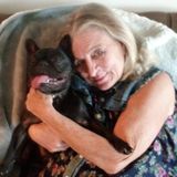 Passionate Pet Sitter and Animal Lover