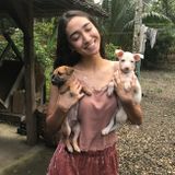 Hard Working Pet Sitting Available