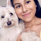 Porterville Pet Care Provider Looking For Job Opportunities