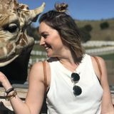 Energetic, Responsible, Lover of all animals! Pet Walker and Pet Sitter.