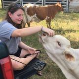 Murfreesboro Dog Walker or Sitter Searching for Work