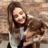 Caring Animal Sitter in Wichita Falls, Texas