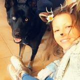 Careful House and Petsitter for Your Home
