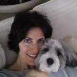 Excellent house sitter available