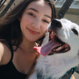 Available For San Diego Animal Sitter Jobs