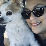 For Hire: Best Reliable and Flexible Pet Adovocate in Chula Vista, California